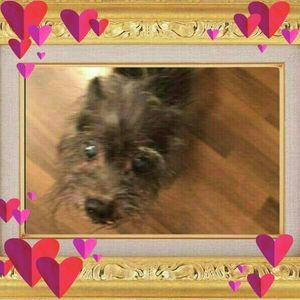 Meet your Posher, Sherry